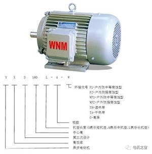 皖南电机铭牌标设【详细版】