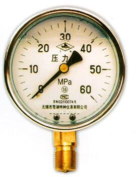 耐震压力表样品