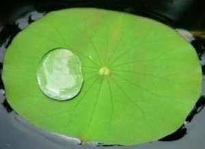 表面能和表面张力的关系【详解】